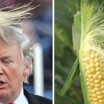 Trump Orders Corn Shutdown