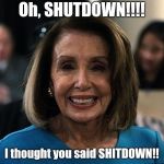 Nancy Pelosi lifeless eyes | Oh, SHUTDOWN!!!! I thought you said SHITDOWN!! | image tagged in nancy pelosi lifeless eyes | made w/ Imgflip meme maker