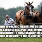 Amish farmer | WHY DO ORGANIC FARMERS USE DIESEL, GAS AND ELECTRICAL POWERED EQUPMENT.  FOOD GROWN WITH HORSE DRAWN PLOWS AND HAND TOOLS TASTES BETTER AND IS MORE NUTRITIOUS. | image tagged in amish farmer | made w/ Imgflip meme maker