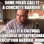 another brick | SOME FOLKS CALL IT A CONCRETE BARRIER... ...I CALL IT A CULTURAL LANGUAGE INTERPERSONAL PERCEPTION BARRIER, MHMM. | image tagged in sling blade vegan french fried taters,trump wall | made w/ Imgflip meme maker