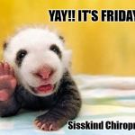 Yay! It's Friday!! | YAY!! IT'S FRIDAY!!! Sisskind Chiropractic | image tagged in yay it's friday | made w/ Imgflip meme maker