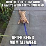 tired puppy | HOW I FEEL ON FRIDAY WHEN I HAVE TO WORK FOR THE WEEKEND; AFTER BEING MOM ALL WEEK. | image tagged in tired puppy | made w/ Imgflip meme maker