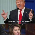 Trump Pelosi