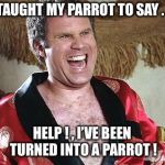 Will Ferrell 1 | I TAUGHT MY PARROT TO SAY . . . HELP ! , I’VE BEEN TURNED INTO A PARROT ! | image tagged in will ferrell,memes,parrot,taught,sarcasm,new | made w/ Imgflip meme maker