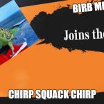 (Blank) Joins the Battle! | BIRB MEME; CHIRP SQUACK CHIRP | image tagged in blank joins the battle | made w/ Imgflip meme maker