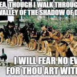 Bad ass cat | YEA, THOUGH I WALK THROUGH THE VALLEY OF THE SHADOW OF DEATH; I WILL FEAR NO EVIL FOR THOU ART WITH ME | image tagged in bad ass cat | made w/ Imgflip meme maker