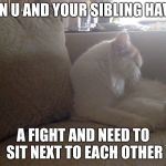 lilo the cat | WHEN U AND YOUR SIBLING HAVING; A FIGHT AND NEED TO SIT NEXT TO EACH OTHER | image tagged in lilo the cat | made w/ Imgflip meme maker