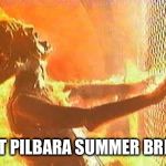 Terminator Fence | THAT PILBARA SUMMER BREEZE | image tagged in terminator fence | made w/ Imgflip meme maker