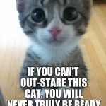 Guess the cat owns you... | IF YOU CAN'T OUT-STARE THIS CAT, YOU WILL NEVER TRULY BE READY FOR CAT OWNERSHIP. | image tagged in i just want friends who love cats drink copious amounts of wine,memes,staring,contest,owner,human slave | made w/ Imgflip meme maker