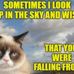 Thinking of you | SOMETIMES I LOOK UP IN THE SKY AND WISH THAT YOU WERE FALLING FROM IT | image tagged in memes,grumpy cat sky,grumpy cat,cats,funny,wishing | made w/ Imgflip meme maker