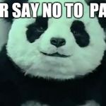 You wanna try panda cheese? | NEVER SAY NO TO  PANDA! | image tagged in panda,never say no to panda,cheese,food,memes,animals | made w/ Imgflip meme maker