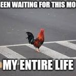 I don't know why , but I know where | I'VE BEEN WAITING FOR THIS MOMENT; MY ENTIRE LIFE | image tagged in chicken cross road,old joke,tacos are the answer,happy dance,am i the only one around here | made w/ Imgflip meme maker