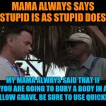 Mama Was Always Helpful That Way. She Could Get Blood Stains Out Of White Lace With Just Vinegar And A Carrot | MAMA ALWAYS SAYS STUPID IS AS STUPID DOES. MY MAMA ALWAYS SAID THAT IF YOU ARE GOING TO BURY A BODY IN A SHALLOW GRAVE, BE SURE TO USE QUICKLIME. | image tagged in stupid is as stupid does | made w/ Imgflip meme maker