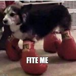 boxingdog | FITE ME | image tagged in boxingdog | made w/ Imgflip meme maker