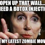 Nancy Pelosi No Spending Problem | OPEN UP THAT WALL... I NEED A BOTOX INJECTION; FOR MY LATEST ZOMBIE MOVIE!! | image tagged in nancy pelosi no spending problem | made w/ Imgflip meme maker