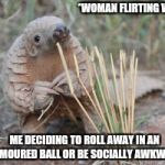 Shy armadillo | *WOMAN FLIRTING WITH ME; ME DECIDING TO ROLL AWAY IN AN ARMOURED BALL OR BE SOCIALLY AWKWARD | image tagged in shy armadillo | made w/ Imgflip meme maker