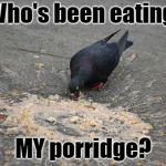 Goldilocks and the pigeon | Who's been eating; MY porridge? | image tagged in vomit,pigeon,goldilocks | made w/ Imgflip meme maker