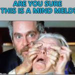 He's not even Vulcan... :) | ARE YOU SURE THIS IS A MIND MELD? | image tagged in bird box,memes,mind meld,vulcan,star trek | made w/ Imgflip meme maker