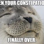 Satisfied Seal | WHEN YOUR CONSTIPATION IS; FINALLY OVER. | image tagged in satisfied seal | made w/ Imgflip meme maker