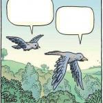 Migrating Birds?