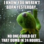 sometimes I wonder  | I KNOW YOU WEREN'T BORN YESTERDAY.. NO ONE COULD GET THAT DUMB IN 24 HOURS... | image tagged in sometimes i wonder | made w/ Imgflip meme maker