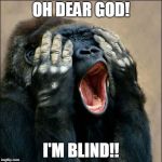 Gorilla covering eyes | OH DEAR GOD! I'M BLIND!! | image tagged in gorilla covering eyes | made w/ Imgflip meme maker