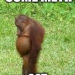 Sad orangutan | TOOK SOME METH; GOT CRYSTAL DICK | image tagged in sad orangutan | made w/ Imgflip meme maker