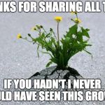 inspirational. | THANKS FOR SHARING ALL THAT; IF YOU HADN'T I NEVER WOULD HAVE SEEN THIS GROW UP | image tagged in inspirational | made w/ Imgflip meme maker