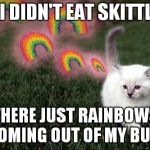 Cute kitten | SIR I DIDN'T EAT SKITTLES; THERE JUST RAINBOWS COMING OUT OF MY BUTT | image tagged in fart,farting cat,memes,cats,kittens,rainbow | made w/ Imgflip meme maker