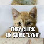 Bad Pun Cat | HOW DO BIG CATS WATCH VIDEOS? THEY CLICK ON SOME "LYNX" | image tagged in bad pun cat | made w/ Imgflip meme maker