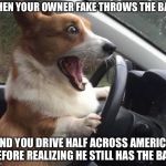 #relatable | WHEN YOUR OWNER FAKE THROWS THE BALL; AND YOU DRIVE HALF ACROSS AMERICA BEFORE REALIZING HE STILL HAS THE BALL | image tagged in dog driving | made w/ Imgflip meme maker