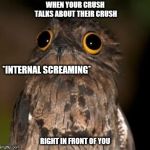 When your crush mentions their crush. | WHEN YOUR CRUSH TALKS ABOUT THEIR CRUSH; *INTERNAL SCREAMING*; RIGHT IN FRONT OF YOU | image tagged in internal screaming,owl,when your crush,relatable,reaction,feelings | made w/ Imgflip meme maker