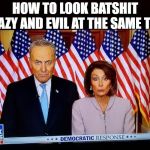 pelosi schumer | HOW TO LOOK BATSHIT CRAZY AND EVIL AT THE SAME TIME | image tagged in pelosi schumer | made w/ Imgflip meme maker