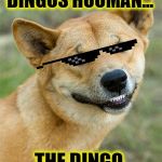 Dingo | HAPPY BIRTHDAY, DINGOS HOOMAN... THE DINGO ATE YOUR CAKE! | image tagged in dingo | made w/ Imgflip meme maker