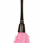 pink feather duster meme