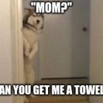 Embarassed Husky | "MOM?"; "CAN YOU GET ME A TOWEL?" | image tagged in embarassed husky | made w/ Imgflip meme maker