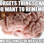 Scumbag Brain | FORGETS THINGS THAT YOU WANT TO REMEMBER REMEMBERS THINGS YOU WANT TO FORGET | image tagged in memes,scumbag brain | made w/ Imgflip meme maker