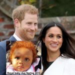 Prince Harry and Meghan | image tagged in prince harry and meghan | made w/ Imgflip meme maker