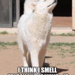 You smell what the wolf is cooking | I THINK I SMELL FRIDAY IN THE WIND - IT SMELLS A LOT LIKE BACON!!! | image tagged in you smell what the wolf is cooking | made w/ Imgflip meme maker