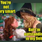 Brainless pun | You’re not very smart; But I’m outstanding in my field | image tagged in wizard of oz dorothy and scarecrow,brain,smart,bad pun | made w/ Imgflip meme maker