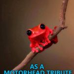 Templates you never knew existed: Wrong Fact Frog :) | ACE OF BASE STARTED OUT; AS A MOTORHEAD TRIBUTE ACT CALLED "ACE OF SPADES" | image tagged in wrong fact frog,memes,music,ace of base,motorhead | made w/ Imgflip meme maker