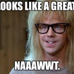 garth 1  | THAT LOOKS LIKE A GREAT DEAL, NAAAWWT. | image tagged in garth 1 | made w/ Imgflip meme maker