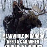 need a cab | MEANWHILE IN CANADA; NEED A CAB WHEN YOUR IN THE WOOD'S | image tagged in meanwhile in canada,canada moose,canada,funny,memes | made w/ Imgflip meme maker