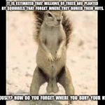 Squirrel nuts | IT  IS  ESTIMATED  THAT  MILLIONS  OF  TREES  ARE  PLANTED  BY  SQUIRRELS  THAT  FORGET  WHERE  THEY  BURIED  THEIR  NUTS. SERIOUSLY?  HOW  DO  YOU  FORGET  WHERE  YOU  BURY  YOUR  NUTS? | image tagged in squirrel nuts | made w/ Imgflip meme maker
