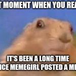 sorry guys!  | THAT MOMENT WHEN YOU REALIZE; IT'S BEEN A LONG TIME SINCE MEMEGIRL POSTED A MEME | image tagged in dramatic chipmunk | made w/ Imgflip meme maker