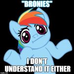 Pony Shrugs | "BRONIES"; I DON'T UNDERSTAND IT EITHER | image tagged in memes,pony shrugs | made w/ Imgflip meme maker