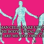 Microscopic Colonists | HUMAN CELLS MAKE UP ONLY 43% OF THE BODY'S TOTAL CELL COUNT; THE REST ARE MICROSCOPIC COLONISTS | image tagged in human,cells,count,bacteria,viruses,fungi | made w/ Imgflip meme maker