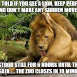 lion licking balls | I WAS TOLD IF YOU SEE A LION, KEEP PERFECTLY STILL AND DON'T MAKE ANY SUDDEN MOVEMENTS. I STOOD STILL FOR 6 HOURS UNTIL THIS BLOKE SAID..... THE ZOO CLOSES IN 10 MINUTES SIR | image tagged in lion licking balls | made w/ Imgflip meme maker
