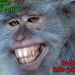 funny animals | It's been REALLY great; to bump into you again | image tagged in funny animals | made w/ Imgflip meme maker