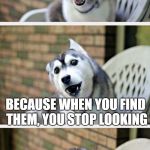 Jokey Dog strikes again! | WHY DO YOU ALWAYS FIND THINGS IN THE LAST PLACE YOU LOOK? BECAUSE WHEN YOU FIND THEM, YOU STOP LOOKING | image tagged in bad pun dog 2,memes,jokes,funny,latest | made w/ Imgflip meme maker